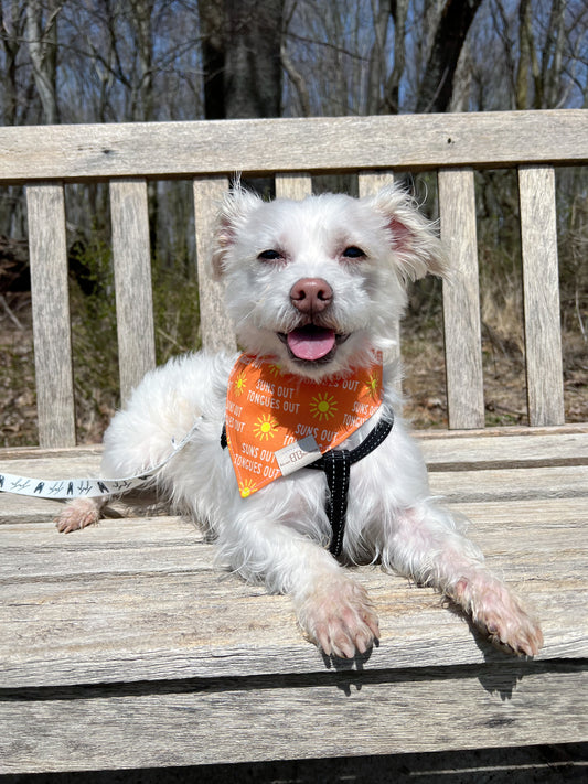 SUNS OUT, TONGUES OUT